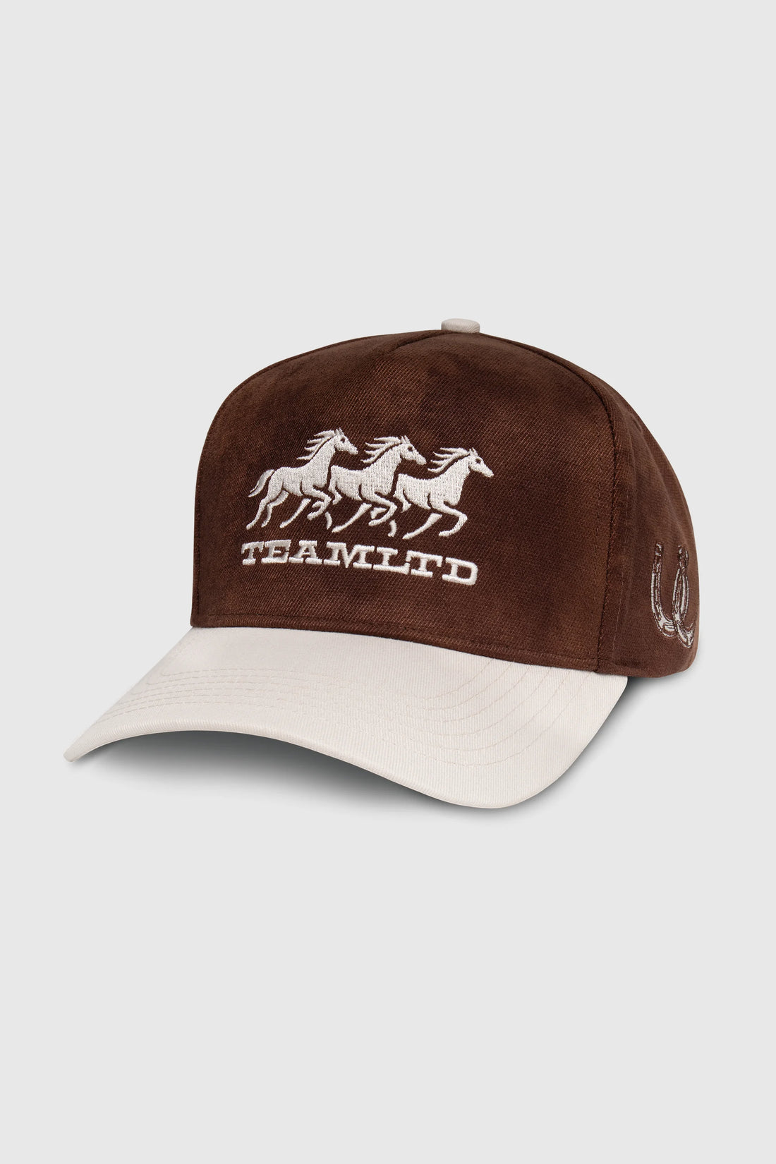 Ranch Snapback