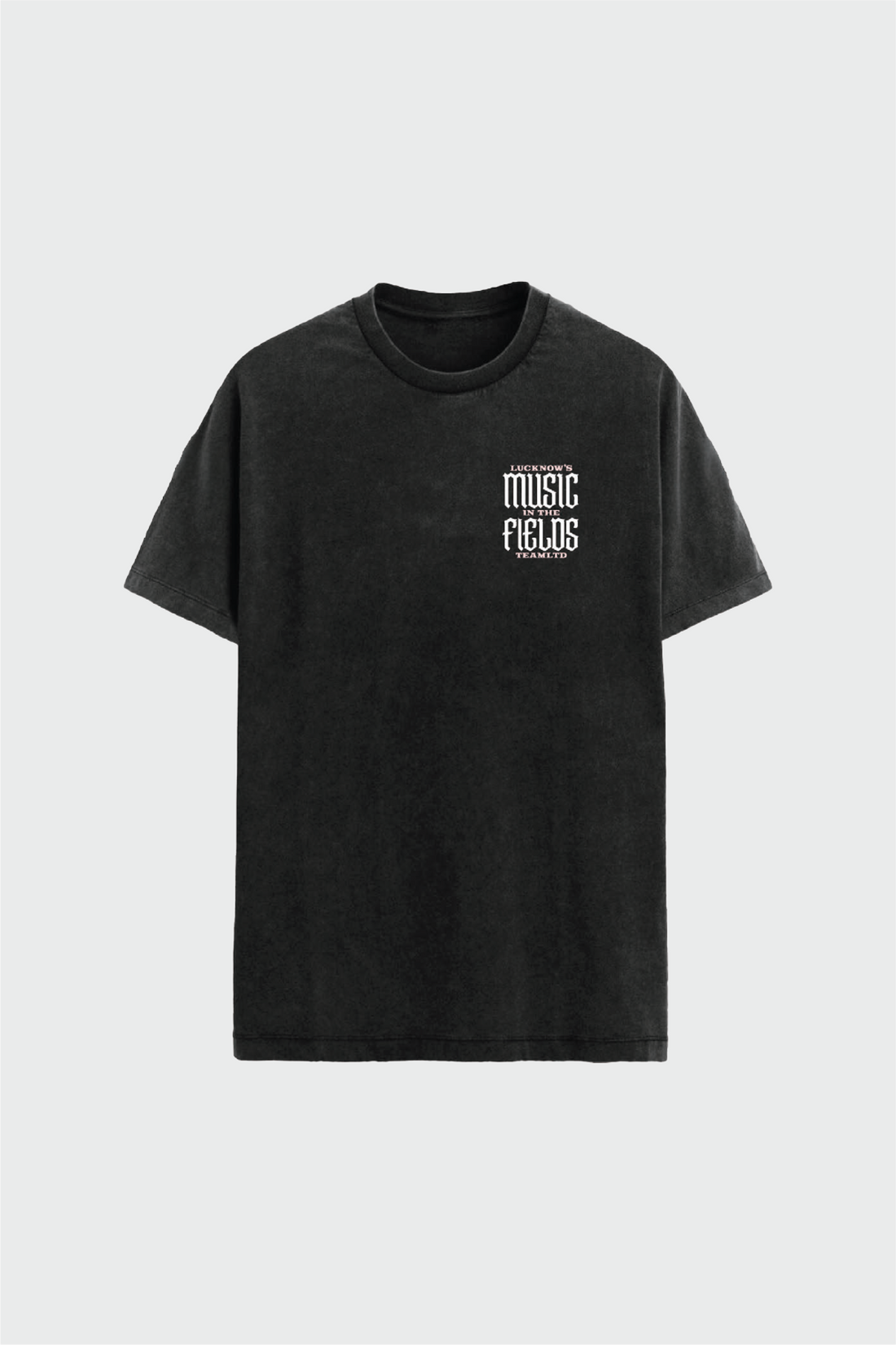 Lucknow Festival Tee